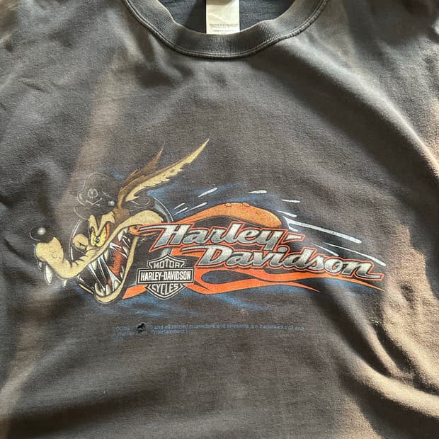 할리데이비슨 x 루니툰즈 '와일드 코요테' 파이어 롱슬리브 - 4XL