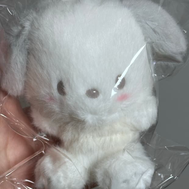 산리오 시로후와 포챠코 마스코트 인형 키링 새상품