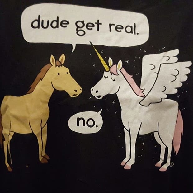 삽니다)크롬하츠 브이넥 홀스슈 반팔