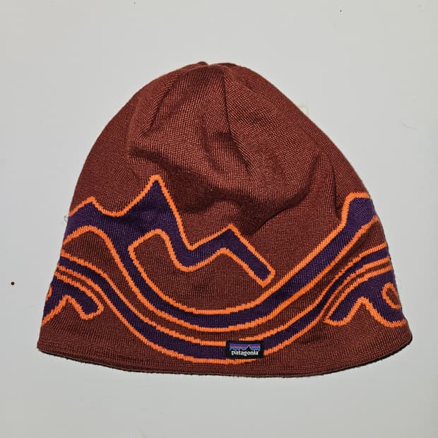 파타고니아 비니