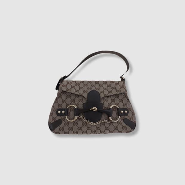 Gucci bag