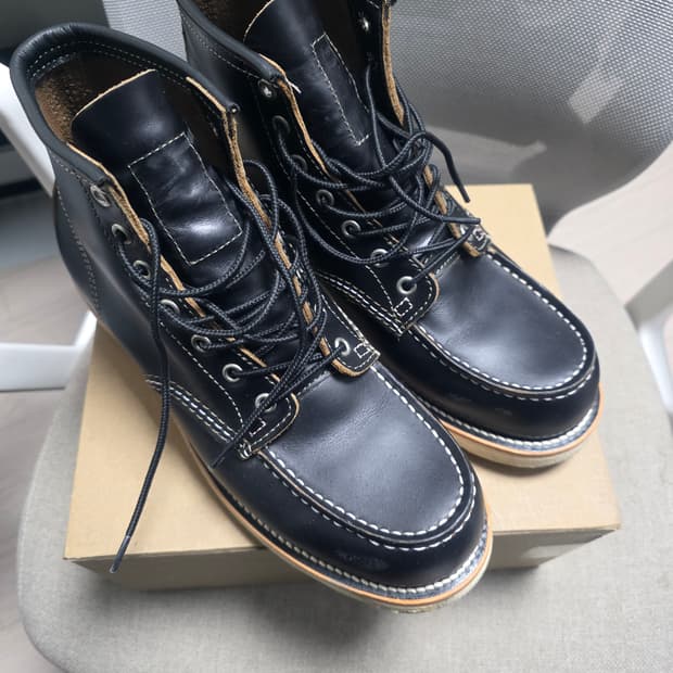 Ticktock 아이리쉬세터 목토 9874 42