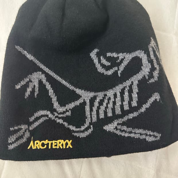 아크테릭스 비니