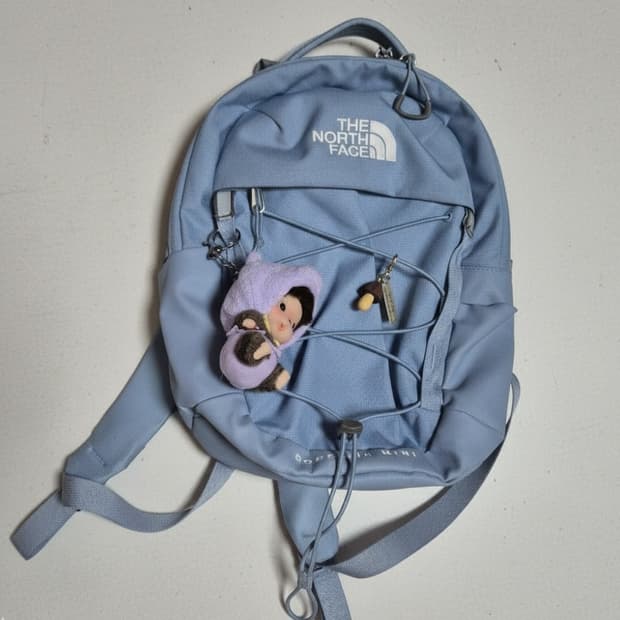 노스페이스 보레알리스미니 백팩/가방