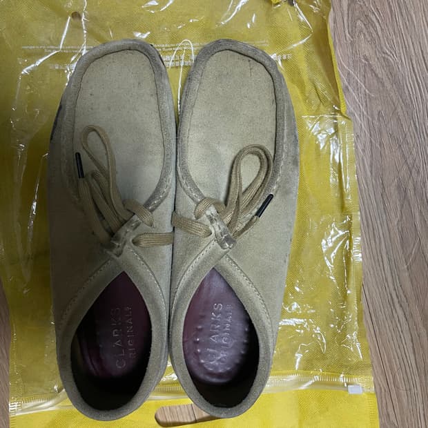왈라비 판매합니다 (네고환영)