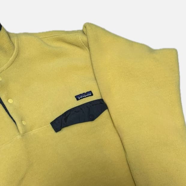 파타고니아 친칠라