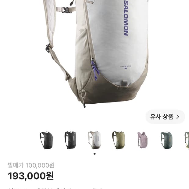 살로몬 트레일블레이저 10 그레이
