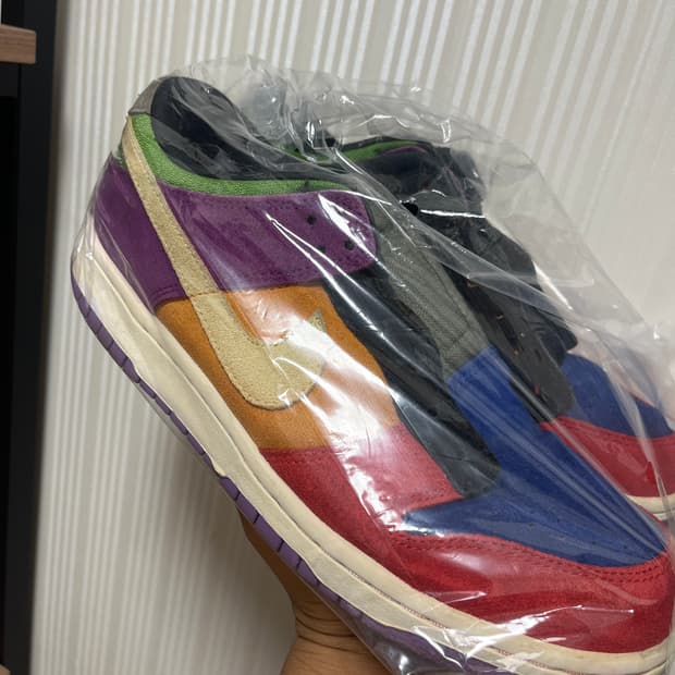 나이키 덩크 로우 SP 레트로 바이오테크 2019