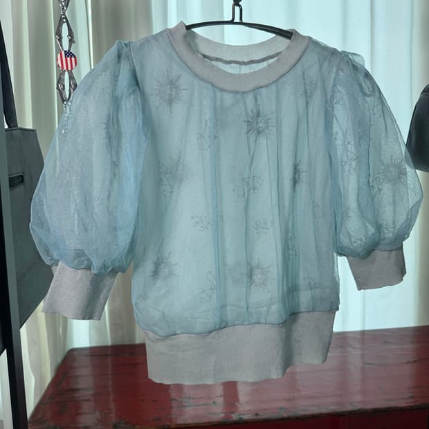 Sheer Tulle Puff Top