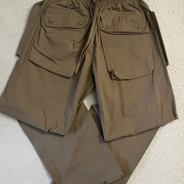 Extraordinary cargo pants