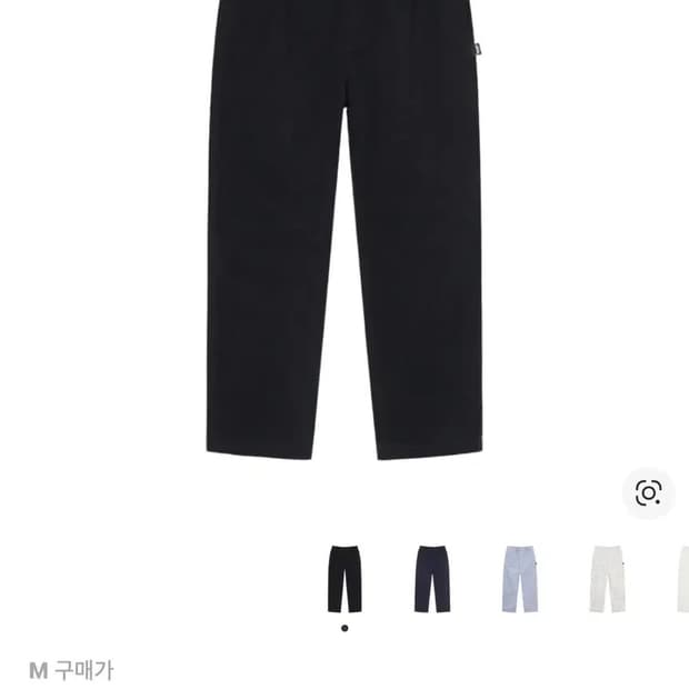 스투시 브러쉬드 비치 팬츠 M