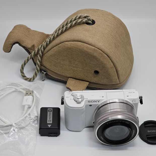 소니 a5100 미러리스 카메라