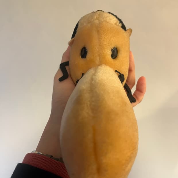 1993년생 코봉이 아저씨 봉제인형 👃