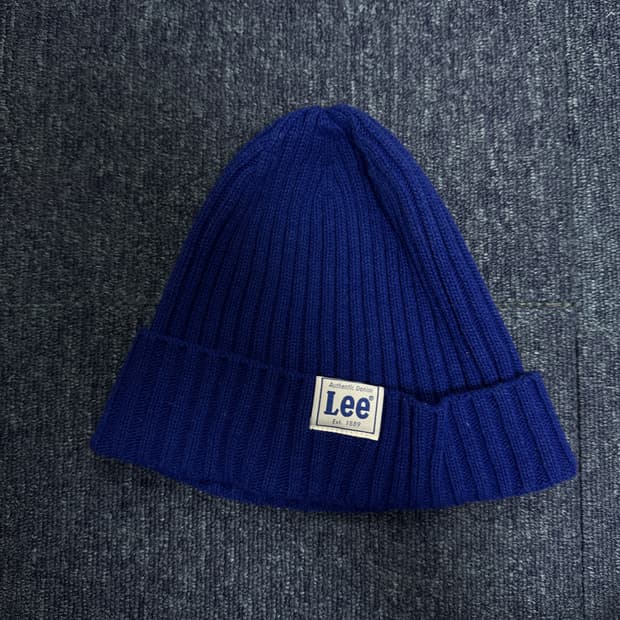 Lee 비니
