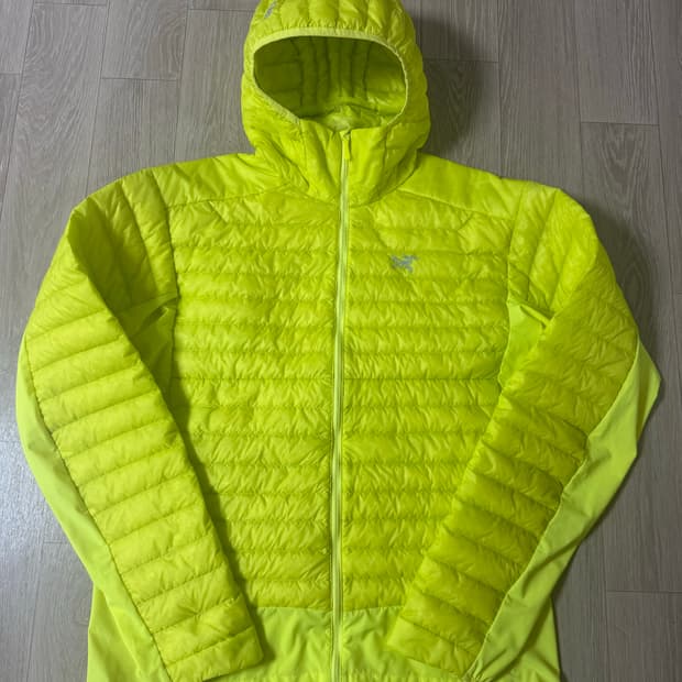 L 아크테릭스 세륨 하이브리드 스프린트