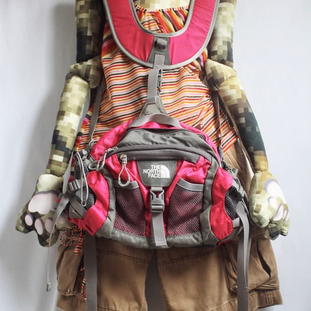 The North Face pink mini back pack