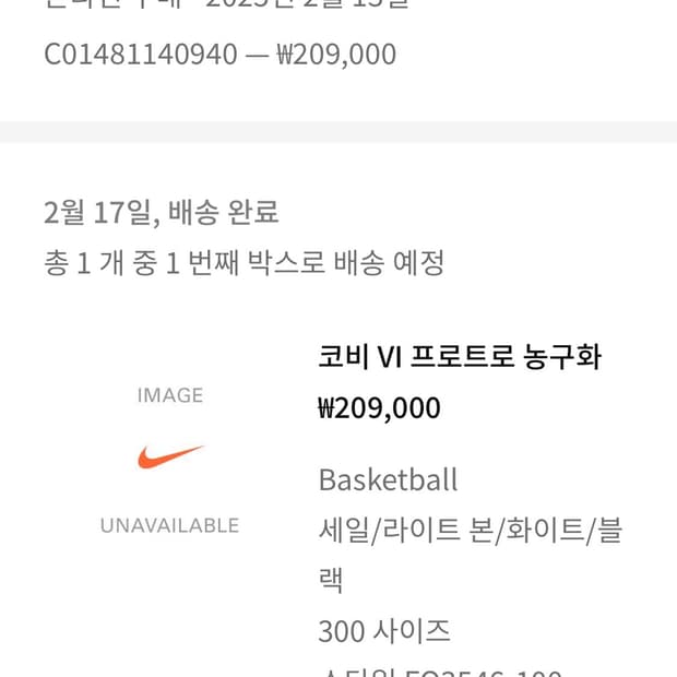 나이키 코비6 프로트로 농구화 300