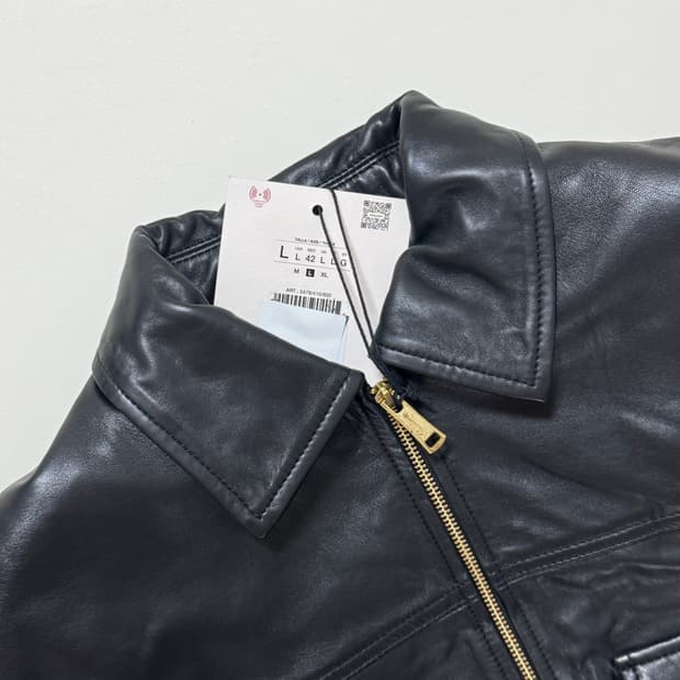 윌리차바리아 자라 종류 많아요!!