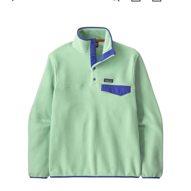 파타고니아 신칠라 린스드 그린/L