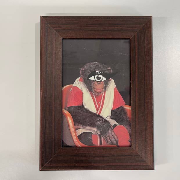 언더커버 매드스토어 길라애플 Undercover AW15 6번 아트 포토