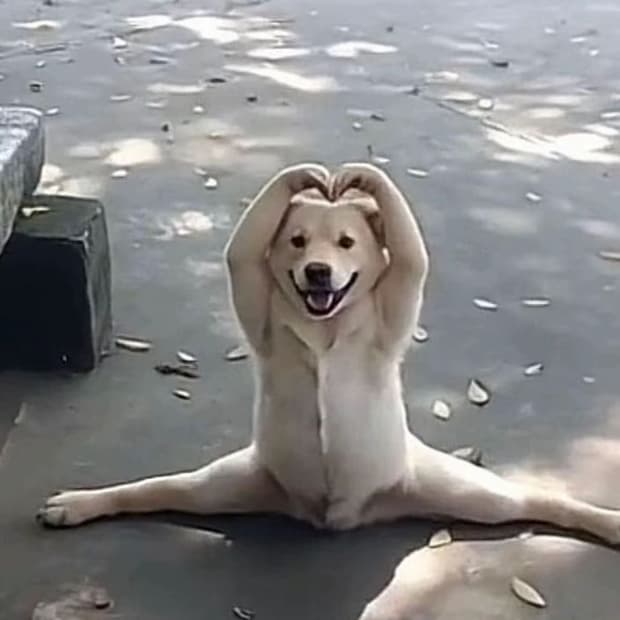 Sale! (예약 가능)