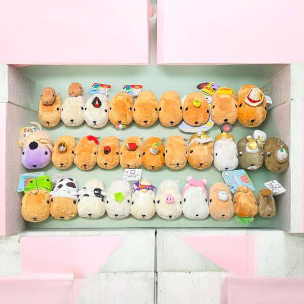 [30종] 고전 카피바라상 인형 키링 대량 정리 판매