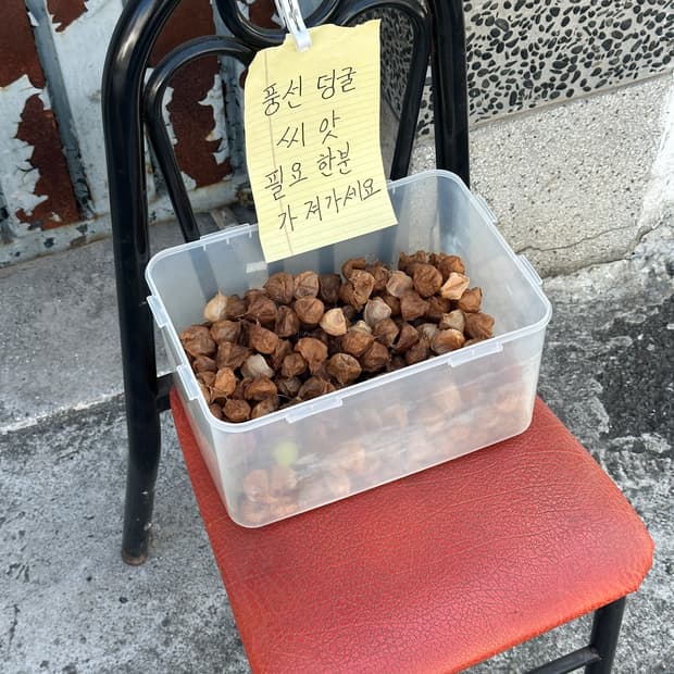 개인결제창