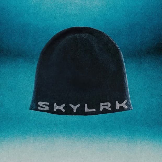 SKYLRK 스컬캡 비니