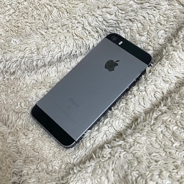 아이폰 SE1 스페이스 그레이 배터리 100%