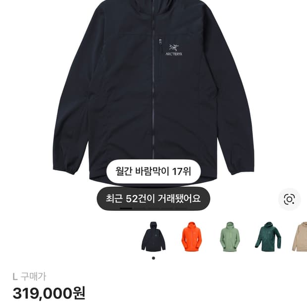 새상품 L 아크테릭스 스쿼미시 후디 블랙 사파이어