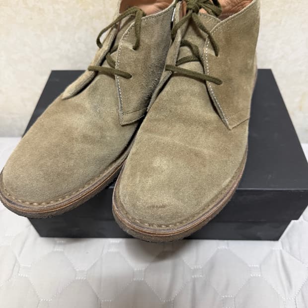 아스토플렉스 그린플렉스 43판매