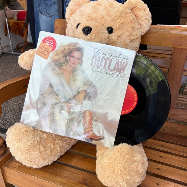 린 앤더슨 Outlaw is Just a State of Mind LP