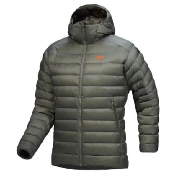 아크테릭스 세륨 포리지