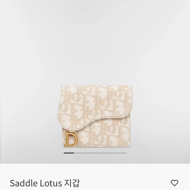 디올 오블리크 반지갑 골드