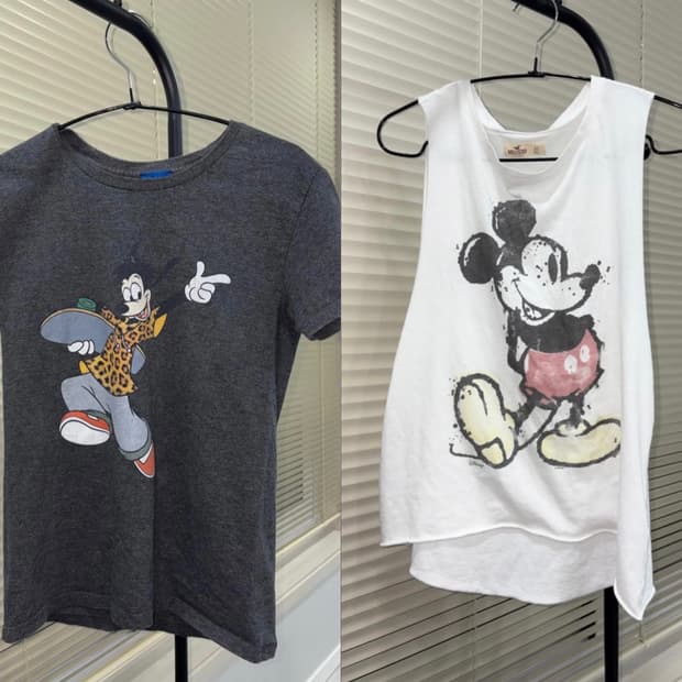 Disney 1+1