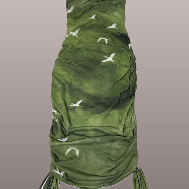 PRISCAVERA 버드 프린팅 드레스