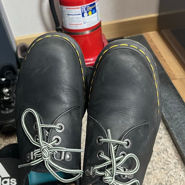 닥터마틴 디네댓 1461 270