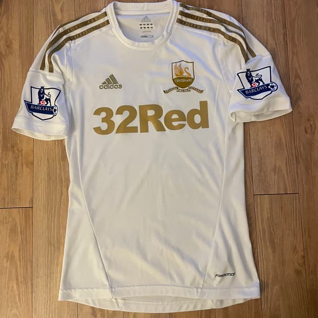 스완지 백주년 기성용