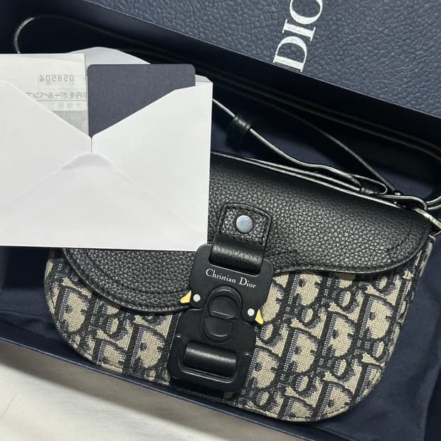 디올 오블리크 플랩백 미니 