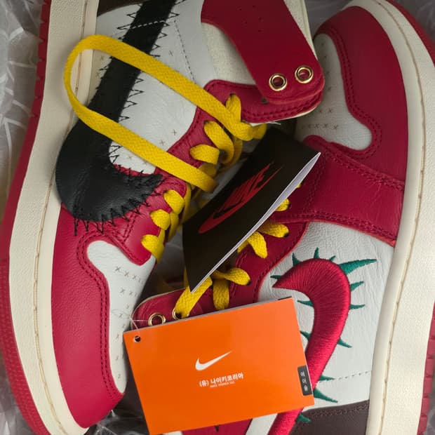 나이키 테야나 테일러 255