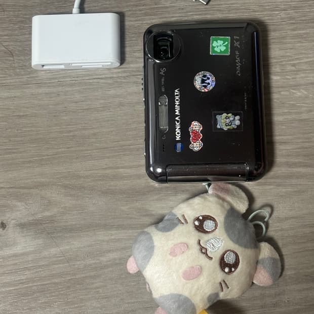 코니카 미놀타 디미지 x1