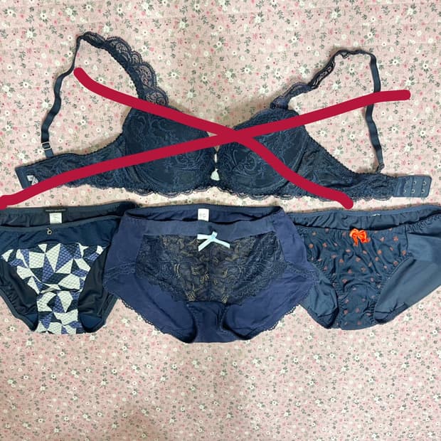 레이스망사 여성속옷/보디가드/프렌치엘/오모떼/면스판,매쉬