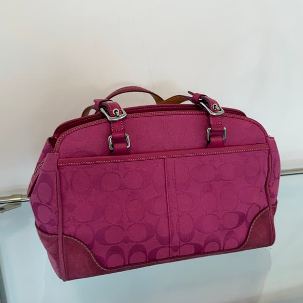 🌟희귀 Coach pink bag