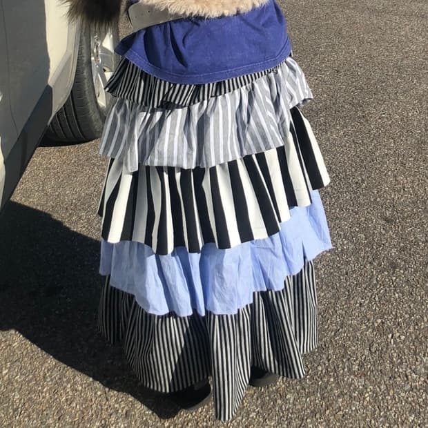 Ttsunami 스트라이프 캉캉 스커트