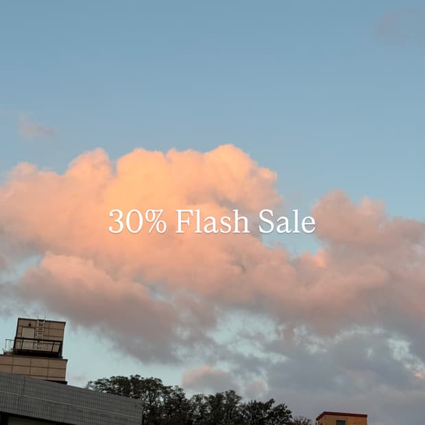 30% Flash Sale 