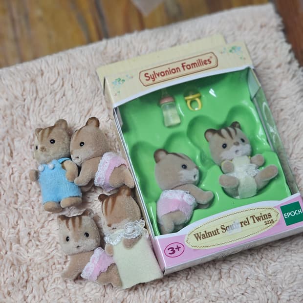 실바니안 다람쥐 베이비들 판매합니다