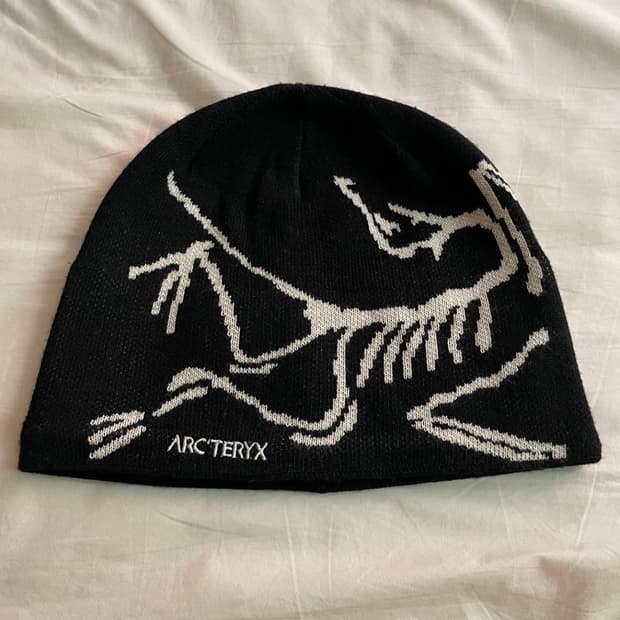 아크테릭스 버드 헤드 토크 오르카 비니