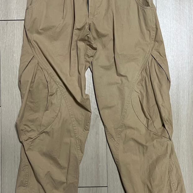 hyein seo cargo pants size 1