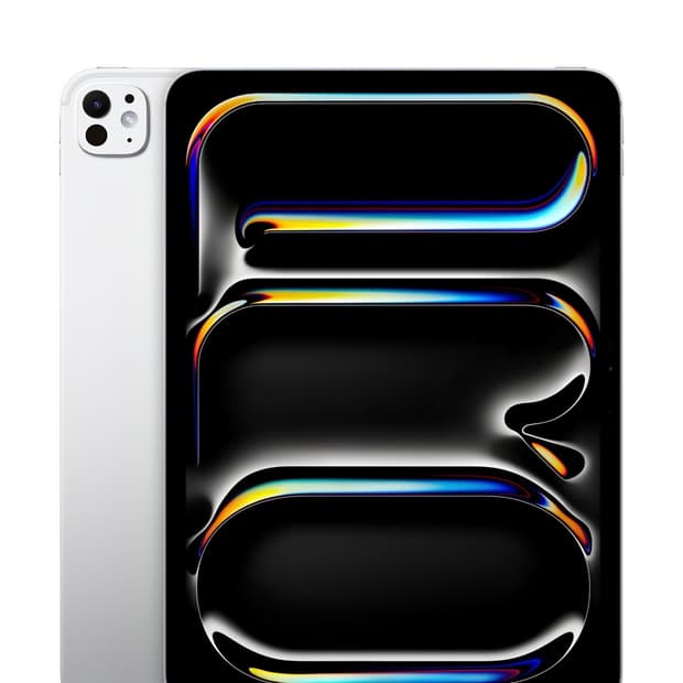 아이패드 프로 m4 11인치 256gb wifi 실버 애케플