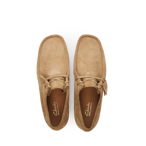 클락스 왈라비(255) 실측 1회